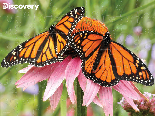 Monarch Butterfly Discovery 3D Jigsaw Puzzle 10654 63 Piece 12"x9"