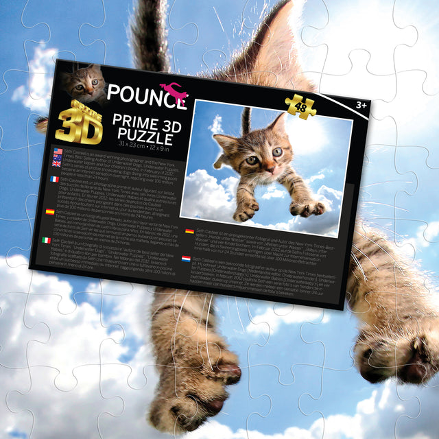 Sparkles in the Sky Pounce Seth Casteel 3D Jigsaw Puzzle 10724 48 Piece 12"x9"