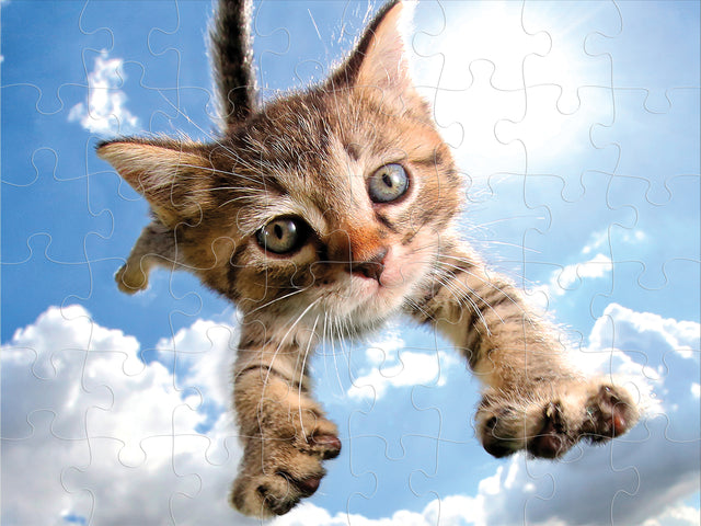 Sparkles in the Sky Pounce Seth Casteel 3D Jigsaw Puzzle 10724 48 Piece 12"x9"