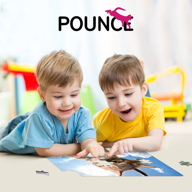 Sparkles in the Sky Pounce Seth Casteel 3D Jigsaw Puzzle 10724 48 Piece 12"x9"