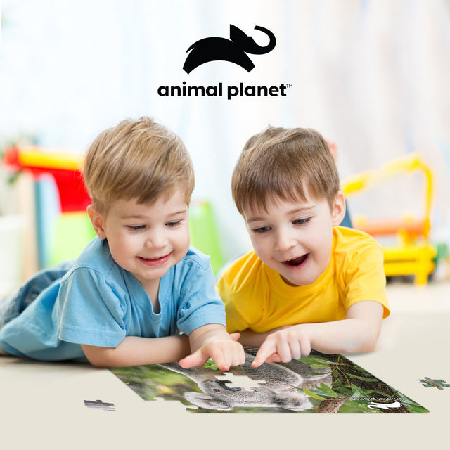 Koala Discovery 3D Jigsaw Puzzle 10790 48 Piece 12"x9"