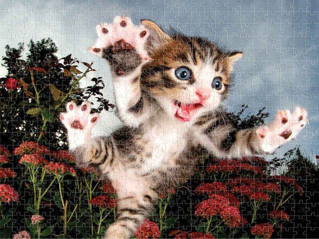 Chicken Pounce Seth Casteel 3D Jigsaw Puzzle 20013 500 Piece 24"x18"