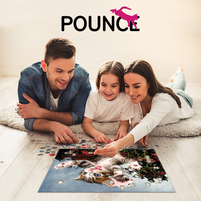 Chicken Pounce Seth Casteel 3D Jigsaw Puzzle 20013 500 Piece 24"x18"