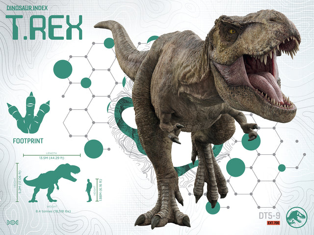 Jurassic World TRex Double Sided 3D/2D Jigsaw Puzzle 20586 100pc 12x9"