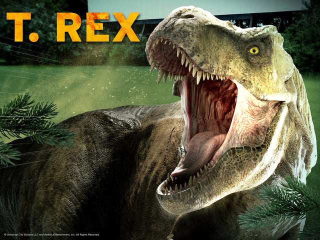 Jurassic World TRex Double Sided 3D/2D Jigsaw Puzzle 20586 100pc 12x9"