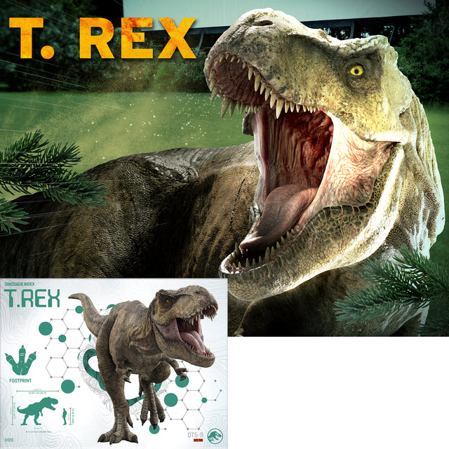 Jurassic World TRex Double Sided 3D/2D Jigsaw Puzzle 20586 100pc 12x9"