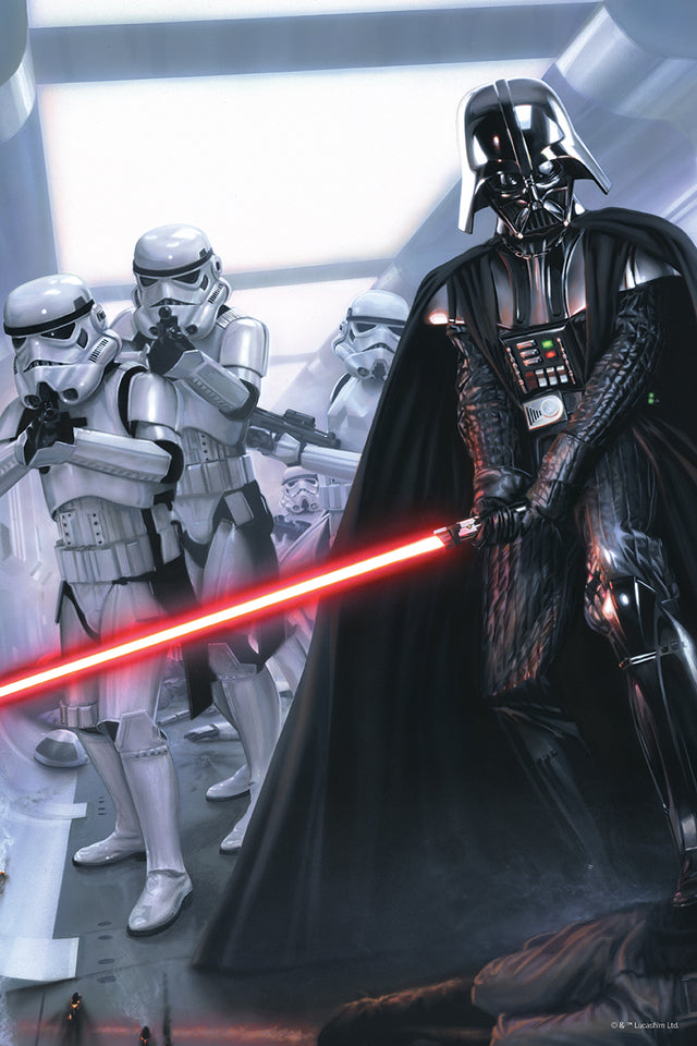 Star Wars Darth Vader 300pc 12x18" Jigsaw Puzzle 33113