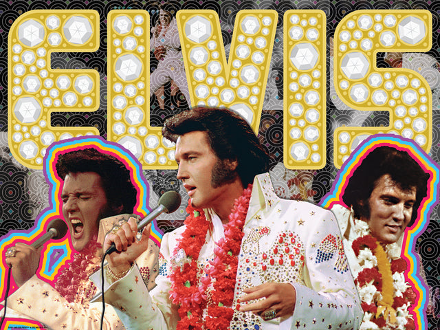 3D/2D ABG Elvis Presley 500pc 24x18" Jigsaw Puzzle 37519