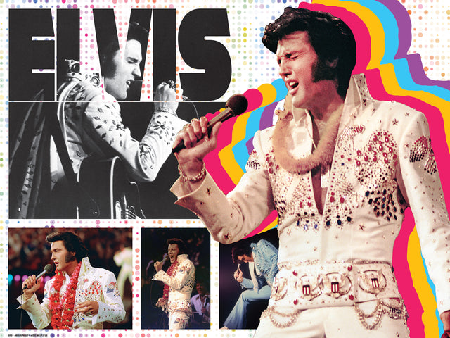 3D/2D ABG Elvis Presley 500pc 24x18" Jigsaw Puzzle 37519