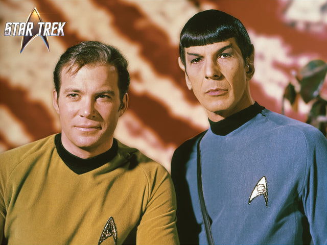 3D/2D Paramount Star Trek 500pc 24x18" Jigsaw Puzzle 37524