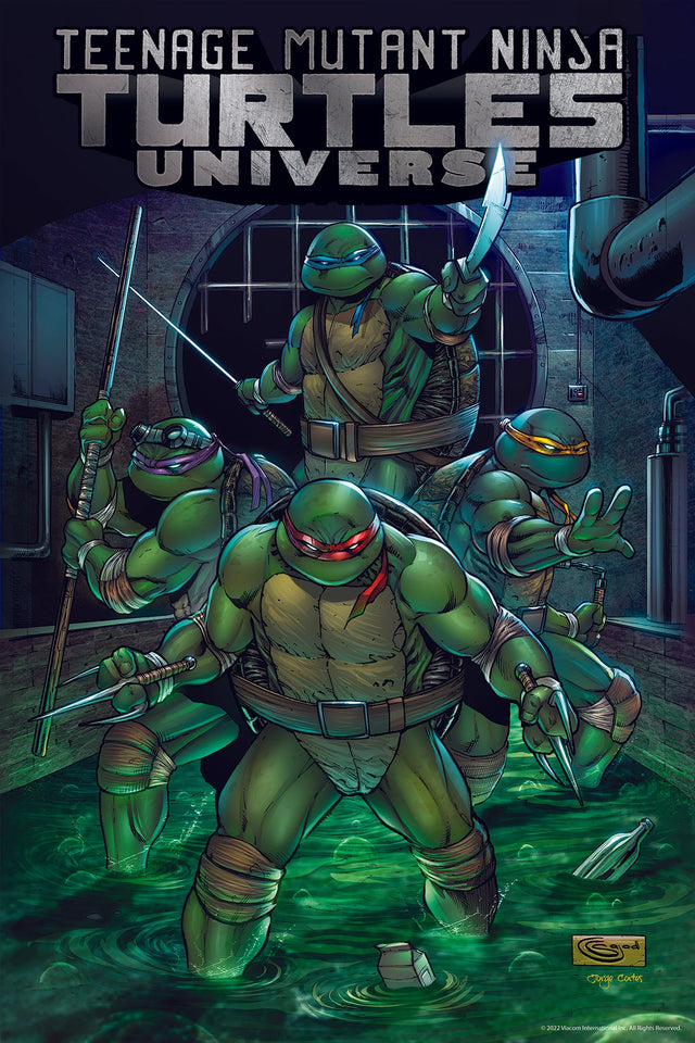 TMNT 3D Jigsaw Puzzle 35642 300pc 12x18"