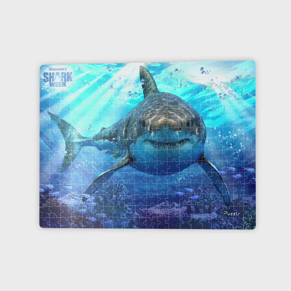  Ocean Beach, New Jersey, Great White Shark (19x27 inches,  Premium 500 Piece Jigsaw Puzzle for Adults and Family, Made in USA) : Toys  & Games