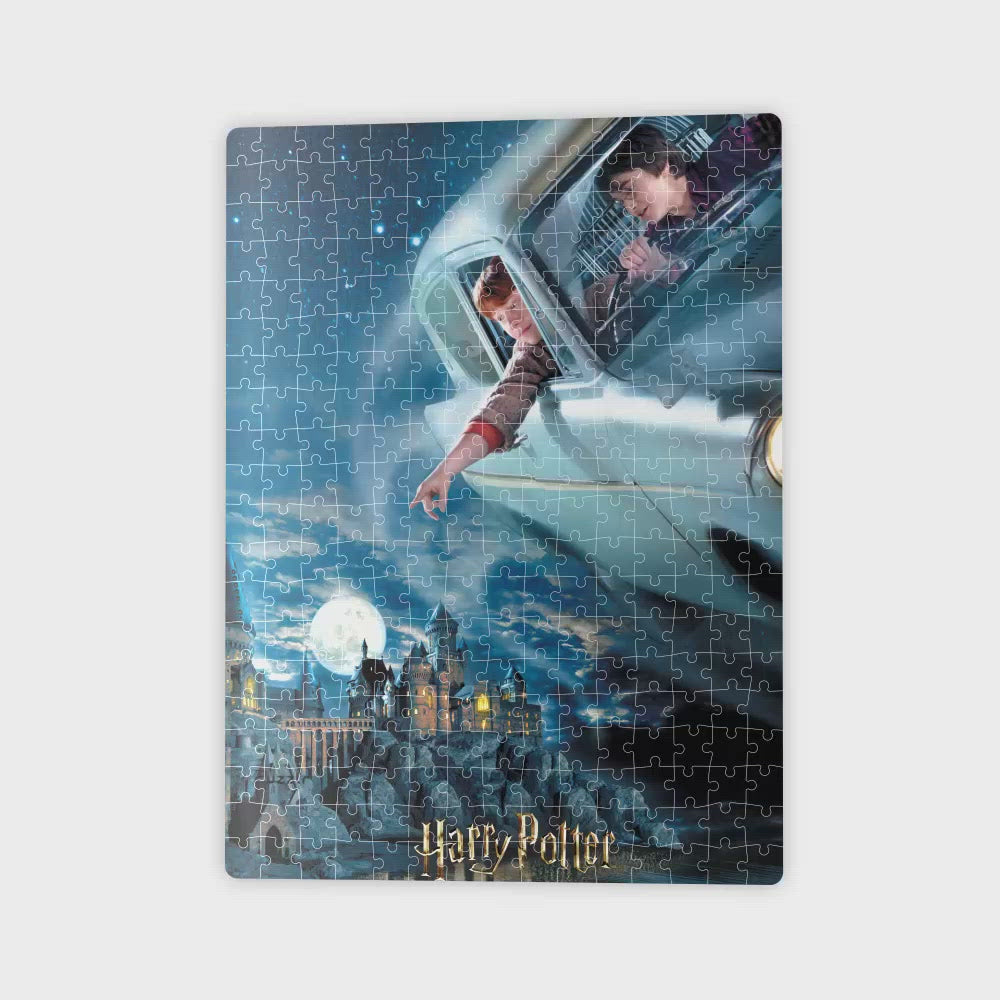Puzzle 3D effect: Harry Potter: Harry and Ron over Hogwarts, 300 pieces