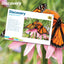 Monarch Butterfly Discovery 3D Jigsaw Puzzle 10654 63 Piece 12"x9"