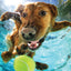 Underwater Dogs Ricochet 3D Jigsaw Puzzle 20021 500 Piece 24"x18"