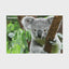 Koala Discovery 3D Jigsaw Puzzle 10960 150 Piece 18"x12"