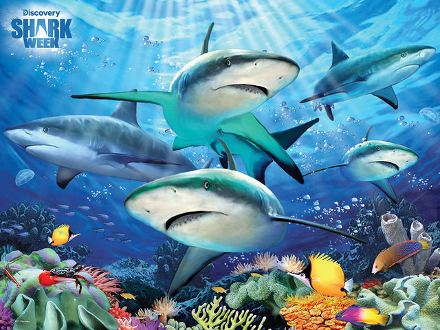 Puzzlr Howard Robinson - Shark Reef Shark Week 3D Jigsaw Puzzle 10672 100pc 12x9"