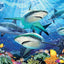 Puzzlr Howard Robinson - Shark Reef Shark Week 3D Jigsaw Puzzle 10672 100pc 12x9"