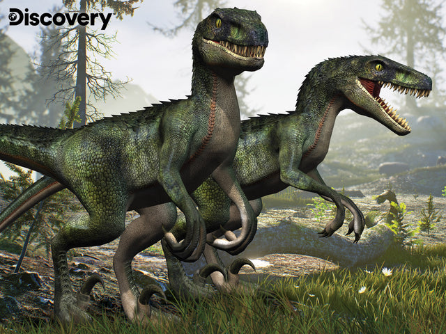 Puzzlr Velociraptor Discovery 3D Jigsaw Puzzle 10682 100pc 12x9"