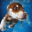 Puzzlr Hunter Underwater Dogs 3D Jigsaw Puzzle 10968 150pc 18x12"