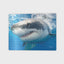 Great White Shark Discovery - Shark Week 3D Jigsaw Puzzle 20028 500pc  24x18"