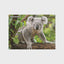 Koala Discovery 3D Jigsaw Puzzle 10790 48 Piece 12"x9"