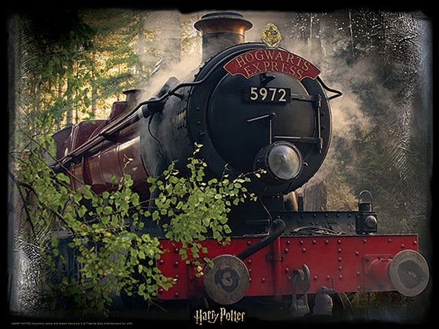 Puzzlr The Hogwarts Express Harry Potter 3D Jigsaw Puzzle 32506 500pc 24x18"