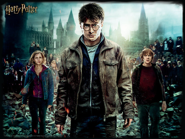 Puzzlr Harry, Hermione and Ron Harry Potter 3D Jigsaw Puzzle 32559 500pc 24x18"