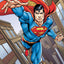 Puzzlr Superman DC Comics 3D Jigsaw Puzzle 33003 300pc 18x12"
