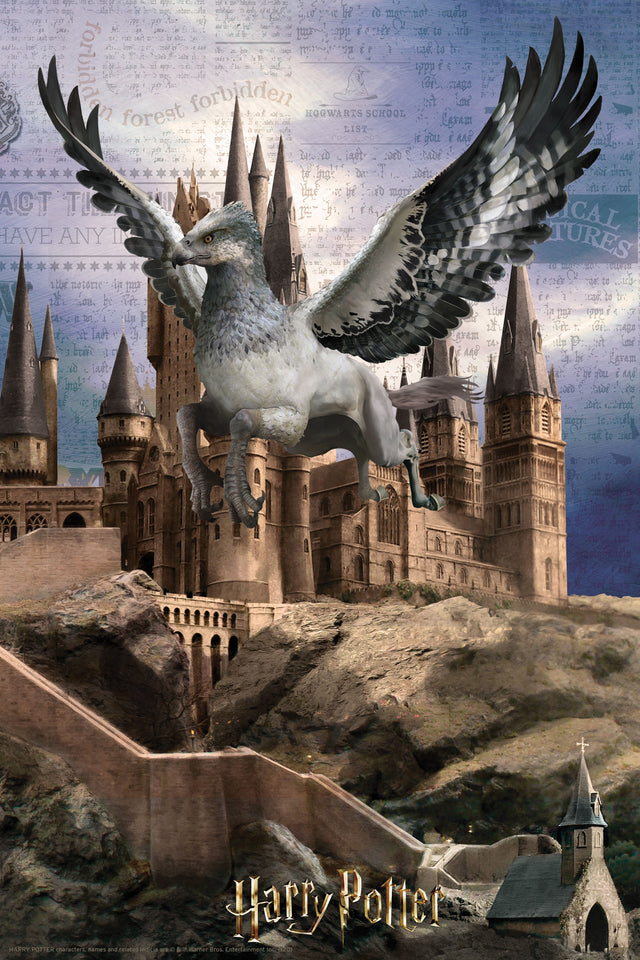 Puzzlr Harry & Ron Flying over Hogwarts Harry Potter 3D Jigsaw Puzzle 33007 300pc 18x12"