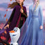 Puzzlr Frozen Disney 3D Jigsaw Puzzle 33030 200pc 18x12"