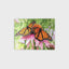 Monarch Butterfly Discovery 3D Jigsaw Puzzle 10654 63 Piece 12"x9"