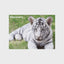 White Tiger Discovery 3D Jigsaw Puzzle 10711 63 Piece 12"x9"