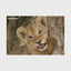 Lion Cub Discovery 3D Jigsaw Puzzle 10959 150 Piece 18"x12"